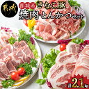 【ふるさと納税】都城産「きなこ豚」焼肉・とんかつセット - ブランド豚の豚肉 豚カツ用カット肉 焼き肉用カット肉 トンカツ用(ロース/肩ロース) 焼き肉用(豚バラ/豚肩ロース) 送料無料 MJ-1204【宮崎県都城市は2年連続ふるさと納税日本一！】