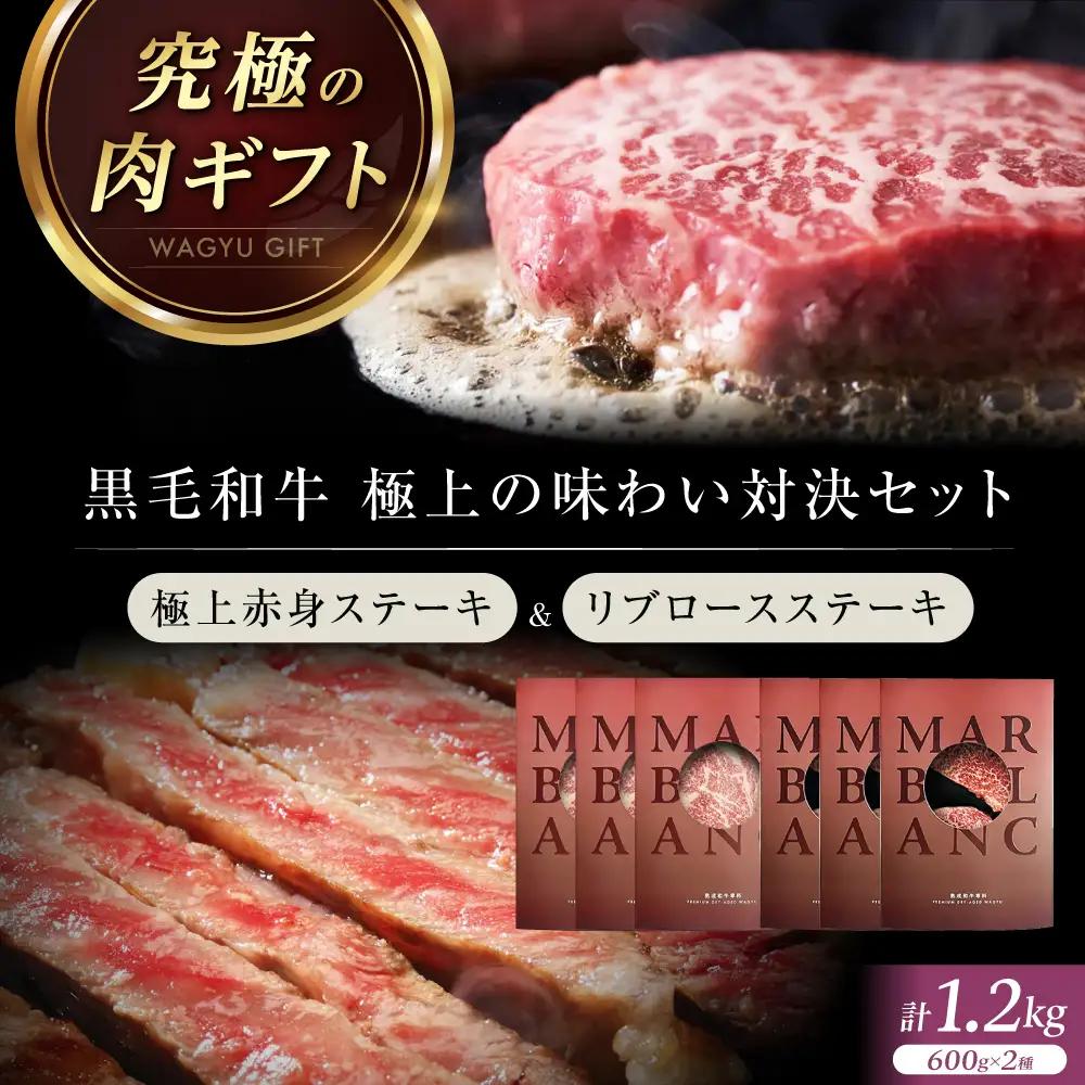 熟成肉 リブロース＆極上赤身ステーキ 計1200g[AOAS034] 熟成肉