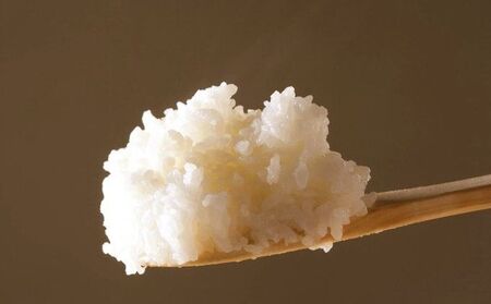 【令和5年産】特別栽培米 魚沼産コシヒカリ5kg