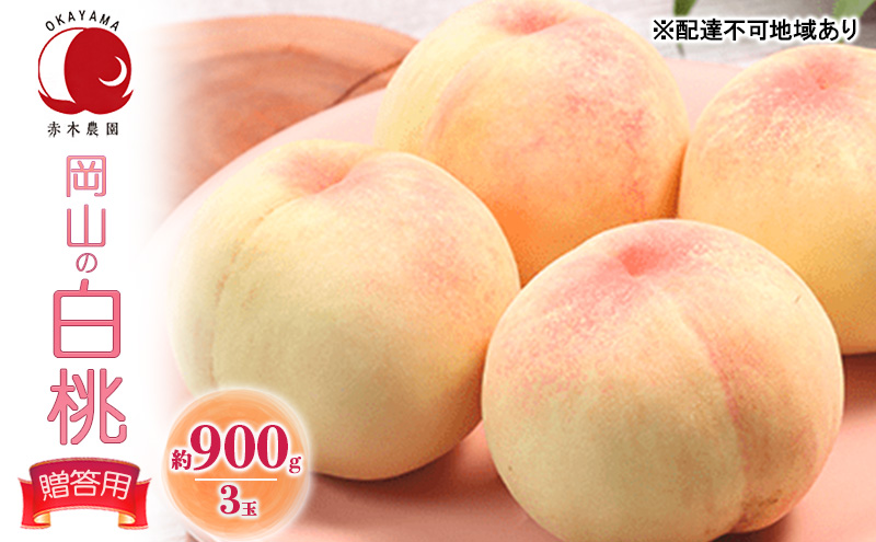 桃 2026年 先行予約 贈答用 岡山の白桃 約900g 3玉 白桃 もも モモ フルーツ 果物  国産 赤木農園
