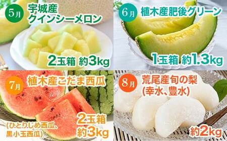 【 6か月 連続 定期便 】 熊本県 フルーツ 6ヶ月 定期便 果物 くだもの 旬 いちご 柑橘 スイカ メロン 柿 梨