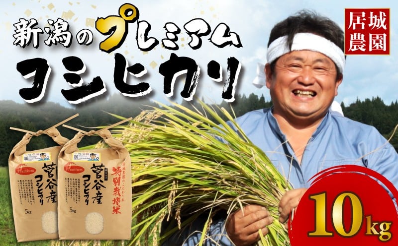 
            【11月配送受付中！！】 新潟 プレミアム コシヒカリ 10kg 令和7年産 選べる 配送月 特別栽培米 こしひかり 米 プレミアムコシヒカリ 精米 白米 ご飯 おにぎり 弁当 新潟県産 新発田産 菅谷産 お米 こめ 農家直送 人気 居城農園 菅谷 新潟県 新発田市 D79_2025P
          