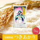 【ふるさと納税】《精米》令和6年産 宮城県産つきあかり5kg