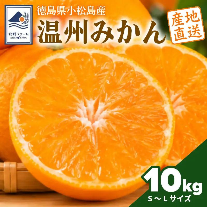 【2026年10月下旬順次発送】　みかん 10kg 温州みかん S~Lサイズ 小松島市 ミカン