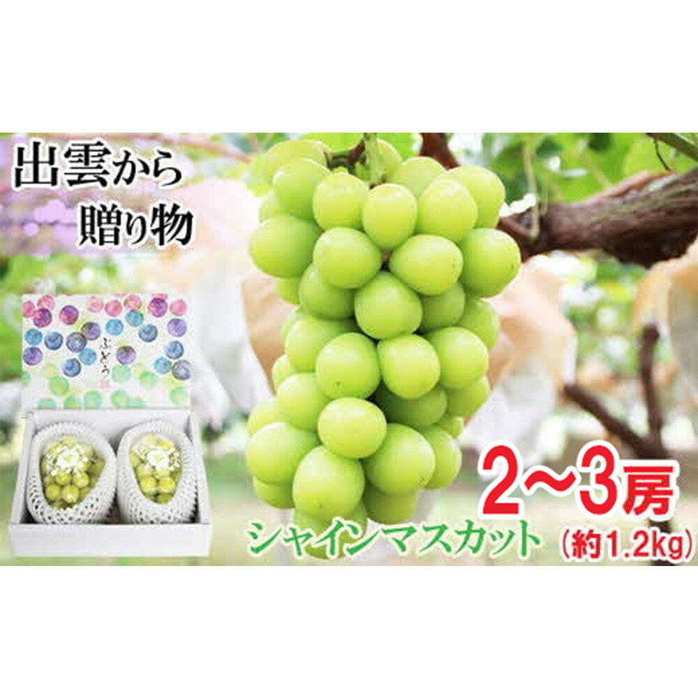 【ふるさと納税】[農家直送]厳選シャインマスカット1.2kg箱[持田農園] | 朝どり 果実 その日のうちに発送 新鮮 出雲 シャインマスカット 持田農園
