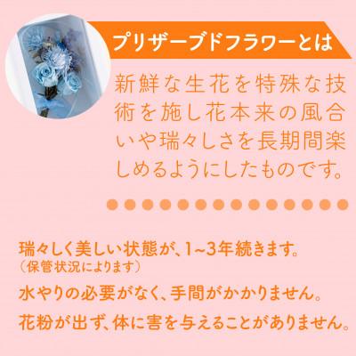 ふるさと納税 佐世保市 バラとカーネーションのプリザーブドフラワーアレンジ |  | 02