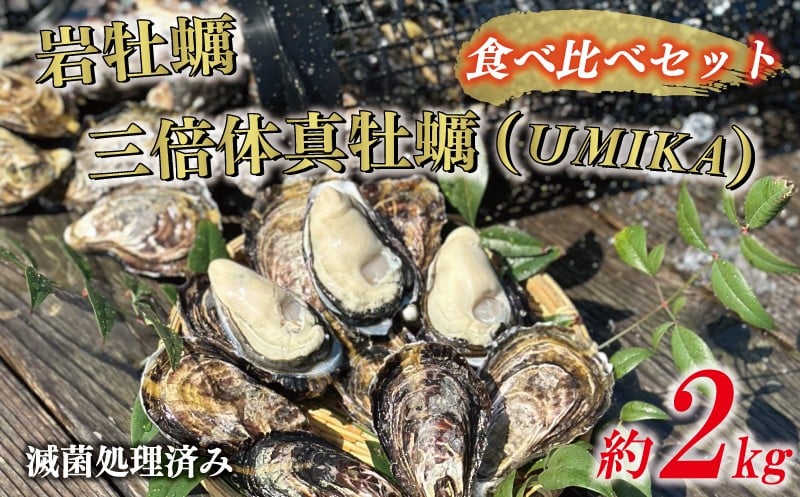 
                  【 数量限定 】 先行予約 岩牡蠣 と 三倍体 真牡蠣 （UMIKA） 合計 約 2kg 食べ比べ セット 15000円 いわがき 殻付き 岩がき 殻付 岩カキ 岩かき かき カキ オイスター 大粒 肉厚 カキフライ 焼き牡蠣 蒸し牡蠣 焼きがき ソテー などに 冷蔵 国産 産地直送 数量限定 夏 季節限定 特産品 魚介 養殖 人気 贈答 ギフト 土産 お取り寄せ 上甲商会 愛南町 愛媛県
                