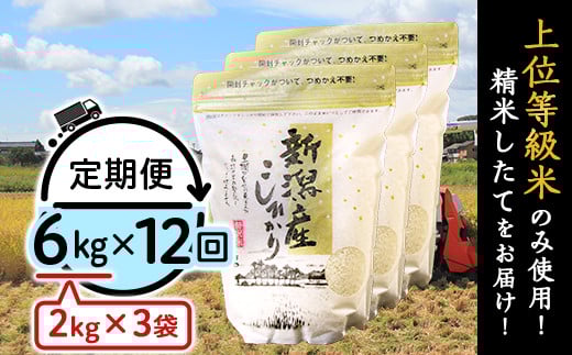 31-K6Z【12ヶ月連続お届け】新潟県産コシヒカリ6kg（2kg×3袋）