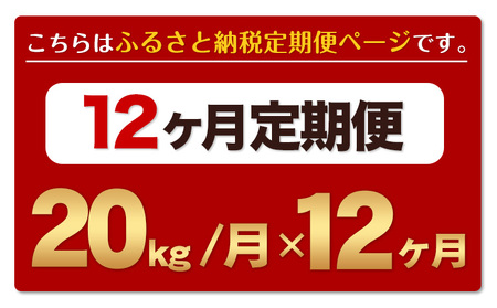 令和6年産 新米 【12ヶ月定期便】 ひのひかり 白米 20kg 5kg×4袋 計12回お届け 熊本県産 こめ コメ 白米 精米 荒尾市 ひの 米 定期 《お申込み月の翌月から出荷開始》