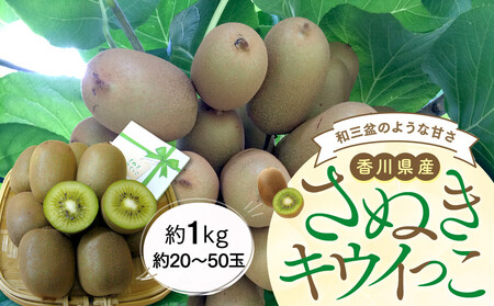 さぬきキウイっこ 約1kg (約20～50玉) 【11月上旬頃～発送】