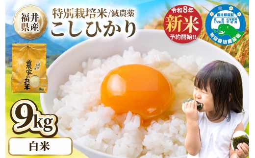 ＼新米先行予約／ 12月 減農薬米 こしひかり 9kg(3kg×3袋）／令和8年 福井県産 （白米） 人気品種 少量サイズ便利