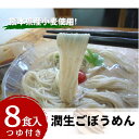 【ふるさと納税】潤生ごぼうめん8食入り