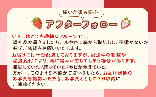 【先行予約】【定期便】いちご市 鹿沼の美味しい「い」「ち」「ご」とちあいか 1箱4パック入り（1パック270g×4） 2ヶ月連続発送 全2回 お届け ｜ イチゴ 果物 甘い ビタミンC かぬま ※沖縄
