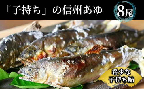 2025年9月発送 生産者直送！「信州あゆ 子持ち 」冷凍8尾入 長野 上田市