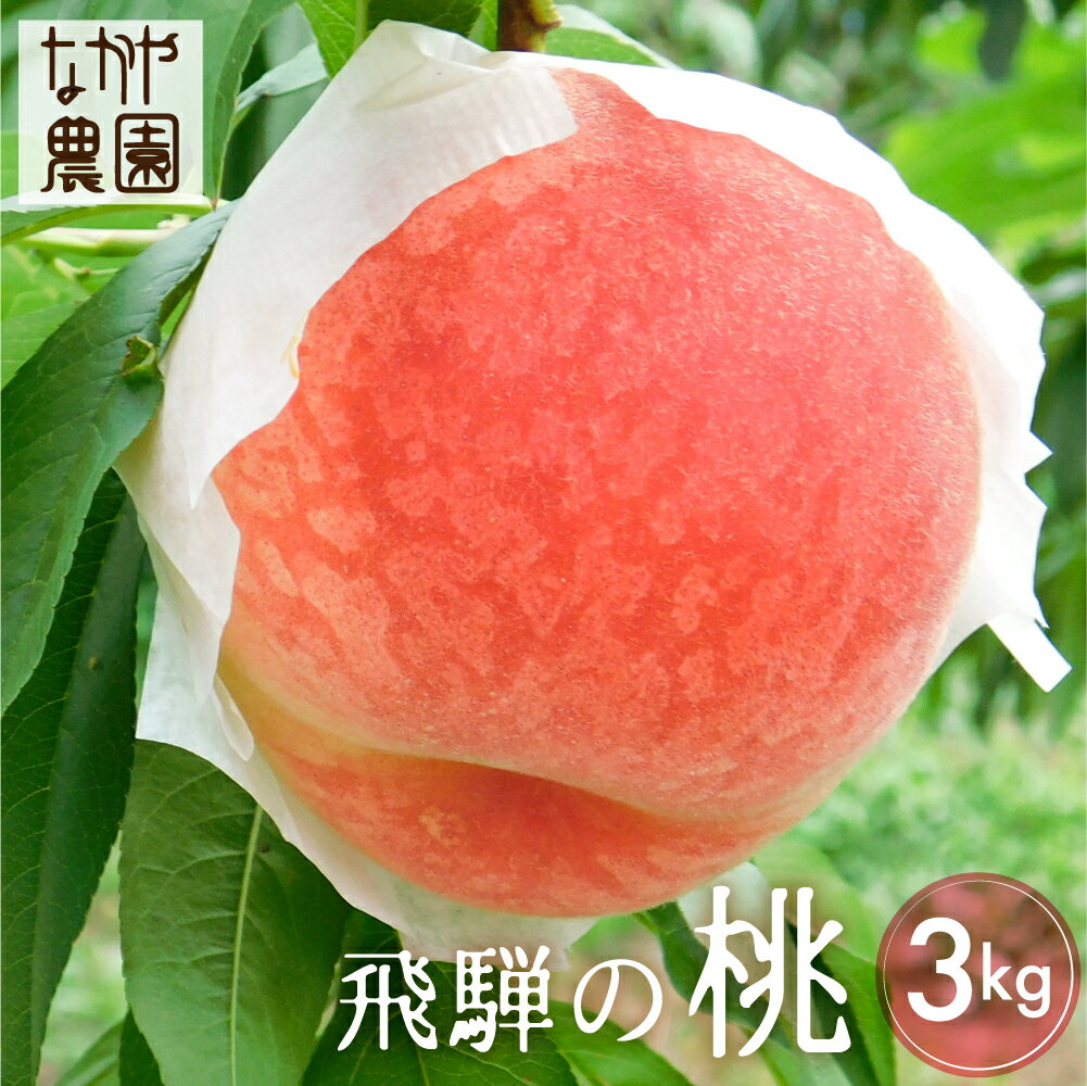【ふるさと納税】【令和7年産先行予約】【7月下旬〜8月20日頃発送】桃 3kg 飛騨産 果物 フルーツ 国産 もも モモ お取り寄せ 産地直送 [Q2064x] 15000円