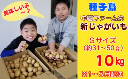 2026年 収穫  種子島 中園ファームじゃがいも Sサイズ 10kg　NFN397【350pt】