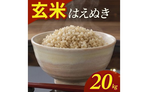 令和7年産【玄米】はえぬき　20kg(5kg×4袋) YA SF0354