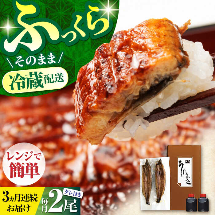 【ふるさと納税】【3回定期便】高知県産 朝焼きうなぎ蒲焼 2尾セット 【株式会社 四国健商】[ATAF086]