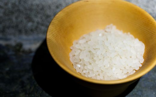 【令和8年産】 雪瑞穂(ななつぼし) 10kg MKWR004