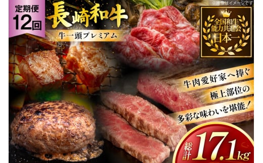 牛肉 和牛 牛一頭プレミアム定期便「長崎和牛をまるごと堪能」 12回 総計16.9kg [黒牛 長崎県 東彼杵町 hs42bag750073] しゃぶしゃぶ すき焼き スライス 肉 お肉 牛肉