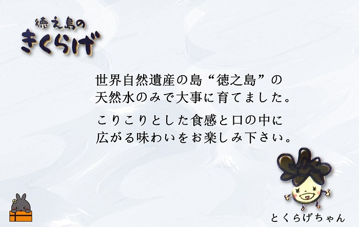 世界自然遺産の島の天然水のみで育てた、こだわりの国産きくらげです。