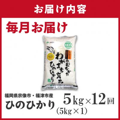 ふるさと納税 宗像市 令和7年産 新米先行予約!【定期便/年12回】ひのひかり5kg【ほたるの里】_HB0197 |  | 01