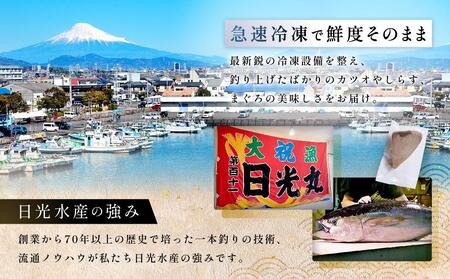 冷蔵無塩 カツオなまり 生利 　1kg（50g × 20）鰹をボイル  低温二次殺菌 アスリート ダイエット おすすめ 小分け 大容量 徳用  個包装 便利 使いやすい食べきりサイズ カツオ丼 海鮮丼