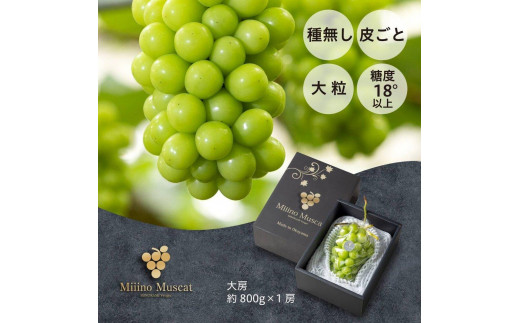 
            シャイン マスカット 2025年 先行予約 「MiiinoMuscat」1房（約800g） | シャインマスカット シャイン マスカット 果物 フルーツ 新鮮 ブドウ 葡萄  岡山 国産 ギフト おすすめ 人気
          