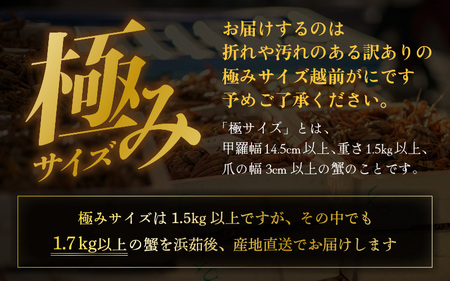 越前がに本場の越前町からお届け！【訳あり】≪浜茹で≫越前がに 極み（きわみ）サイズ（生で約1.7kg～）規格外でも贅沢！食べ応え十分 食べ方しおり付き【訳あり  ゆで 贈答 ギフト 雄 ズワイガニ 越