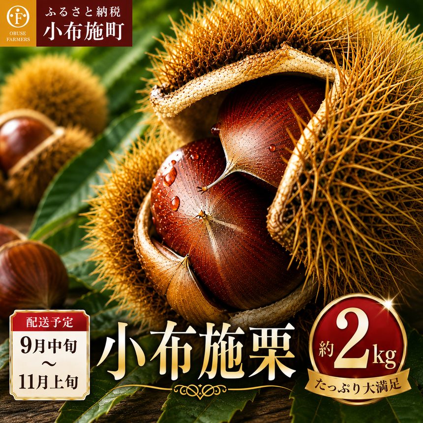 【ふるさと納税】小布施栗 約2kg［おぶせファーマーズ］ ｜果物 フルーツ 栗 生栗 長野県産 信州産 【2026年9月中旬～11月上旬発送】