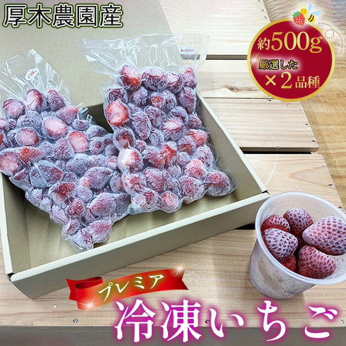 【ふるさと納税】厚木農園産　プレミア冷凍いちご（1kg） ／ フルーツ 苺 冷凍苺 2品種 飯山 自然 栽培 丁寧 選別 送料無料 神奈川県