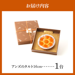 自家製アンズジャムを混ぜ込んだアーモンドクリーム！ アンズのタルト16㎝ シェフお気に入り アンズ タルト 16cmサイズ 3人分 ～ 5人分 自家製アンズジャム アーモンドクリーム ケーキ 焼き菓子