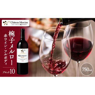 ふるさと納税 上田市 椀子メルロー ブロック10 750ml限定品 シャトー・メルシャン メルロー 赤[54040424]