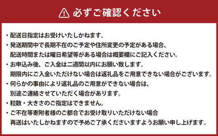 【2025年度分先行予約】【数量限定】粒パック 訳あり シャインマスカット（約500g）&amp;ナガノパープル（約500g） 計約1kg （各1パック）【2025年9月下旬-11月上旬発送開始予定】