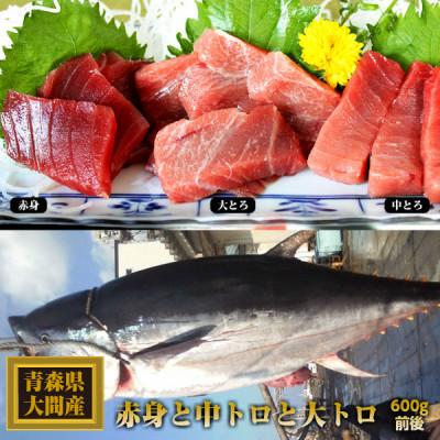 ふるさと納税 青森県 大間産本マグロ 3種セット(大トロ・中トロ・赤身) 合計600g前後