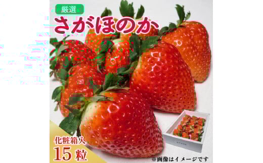 《 2月 発送 》 いちご 15個 化粧箱入り 約 420g 苺 ストロベリー 果物 フルーツ ケーキ ゼリー ジュース アイス シャーベット チョコ フルーツサンド いちご大福 大福 洋菓子 和菓子 スイーツ デザート ジャム  甘い 人気 おすすめ お取り寄せ グルメ 贈答 ギフト 徳島県 阿波市 春風果園