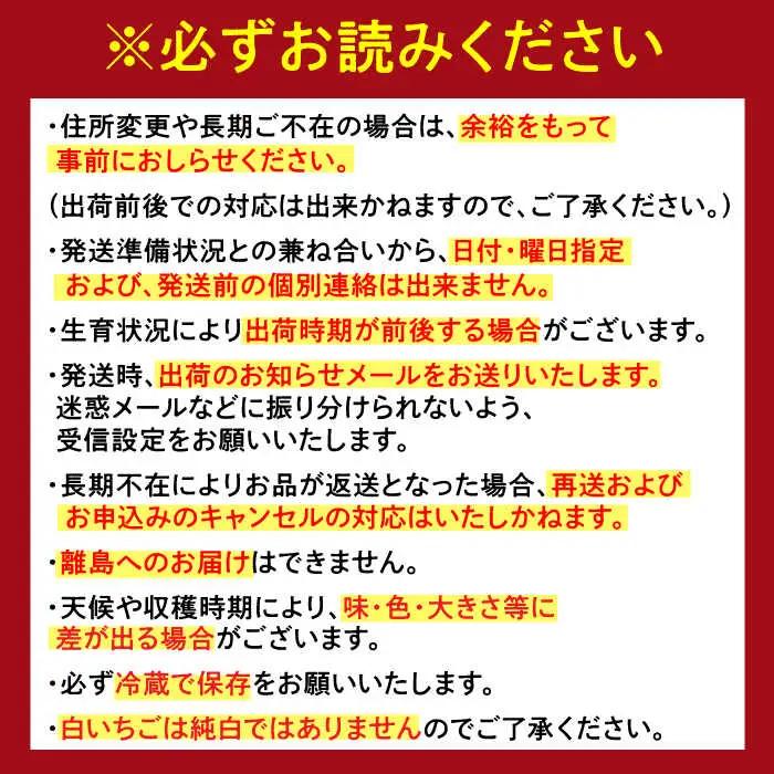 【2027年発送分 先行予約】【全6回定期便】生産者応援 いちご・みかんジュース・佐賀牛 佐賀の宝 定期便 / ジュース いちご 苺 牛肉 / 佐賀県ふるさと納税 [41AAZZ012]
