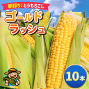 【ふるさと納税】朝採り ゴールドラッシュ 10本 2025年 先行予約 | とうもろこし トウモロコシ 夏野菜 野菜 採れたて 新鮮 愛彩畑 あいさいばたけ 直売所 君津市 きみつ 千葉県