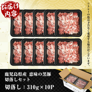 鹿児島県産恵味の黒豚 切落しセット 小分けで便利に使える310g×10パック 計3.1kg！【A-1735H】