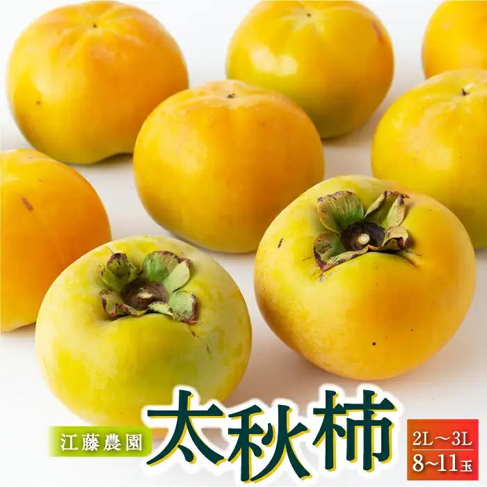 【先行予約】 江藤農園 太秋柿 （2Lから3L） 8玉から11玉 約3kg 【2026年10月下旬から11月上旬 出荷予定】