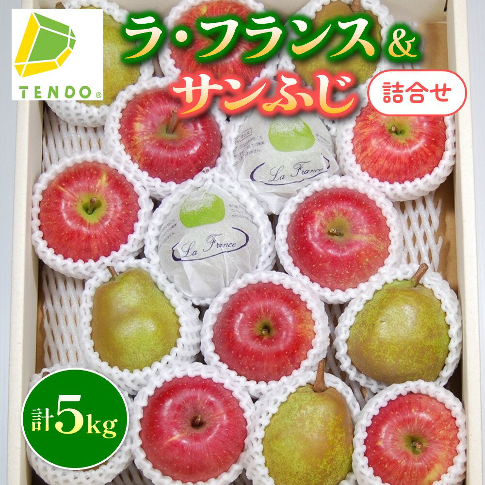 【ふるさと納税】【数量限定】ラ・フランス & サンふじ 詰合せ 5kg ふじ りんご ラフランス 洋梨 果物 フルーツ 秀 各 6玉 〜 9玉 ご家庭用 のし 贈答 ギフト プレゼント おすそ分け お取り寄せ 旬 秋 冬 期間限定 送料無料 先行予約 【 山形県 天童市 】