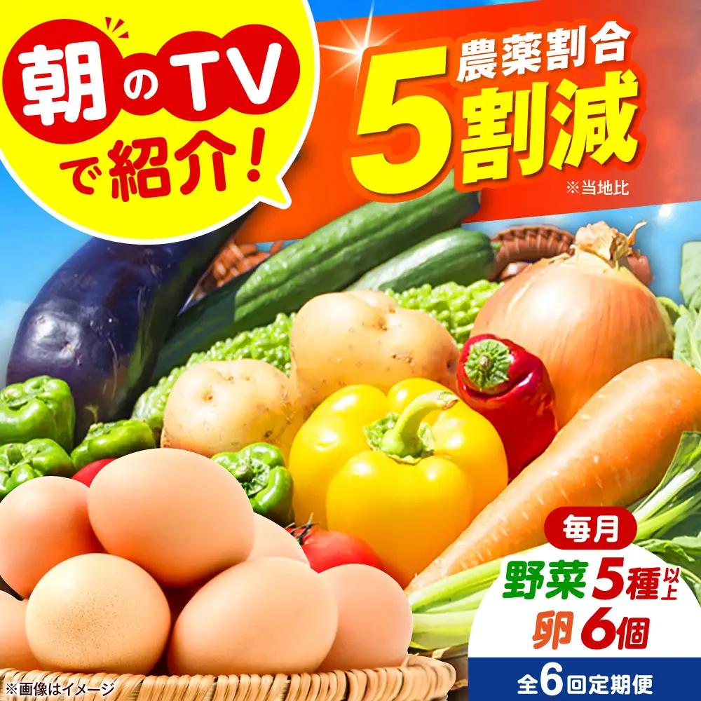 【全6回定期便】 米ぬかで育てた！旬のお野菜＆平飼い卵セット ベジ彩ファーム[AOEJ006] 野菜