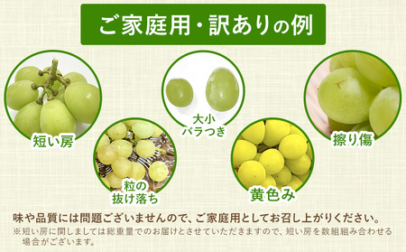 訳あり シャインマスカット プチシャインマスカット 約650g(先行予約)《2025年8月上旬-8月下旬頃出荷》シャインマスカットシャインマスカット