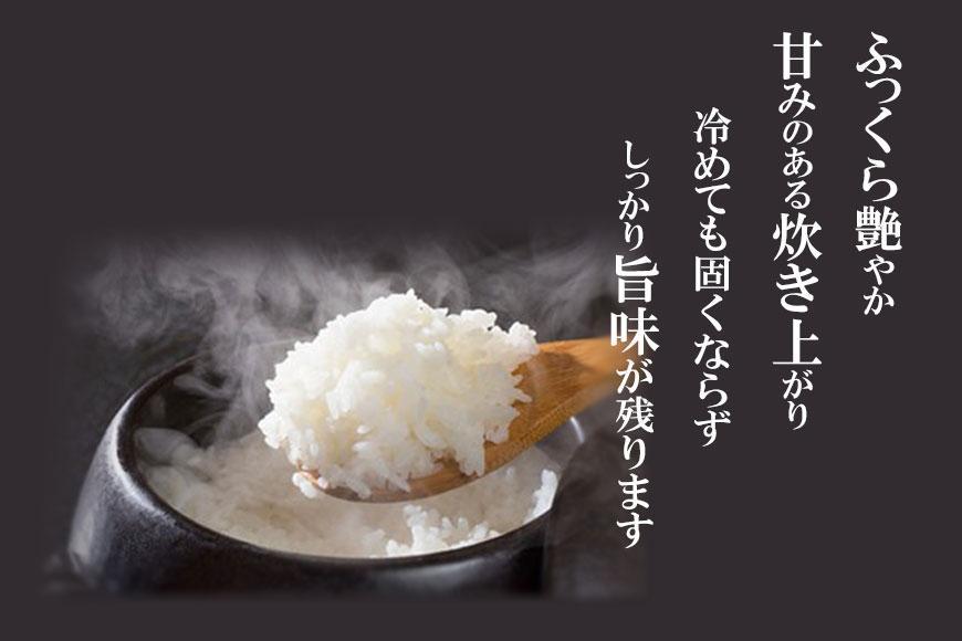 【新米予約】 新潟産コシヒカリ10kg 令和6年産 〈9月下旬頃発送予定〉