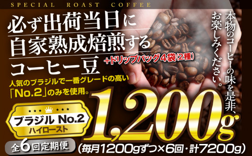 E430d 《定期便》【ドリップバッグ付！】必ず出荷日に自家熟成焙煎ブラジルNo.2豆(1.2kg)＋ドリップバッグ4パック【6回お届け】ブラジル豆の最高グレード J.C.Q.A認定コーヒーインストラクター1級のこだわり コーヒー本来の味を楽しめるハイロースト【SASEBO Coffee TOMINAGA】65000円 人気 新鮮 挽きたて 大容量