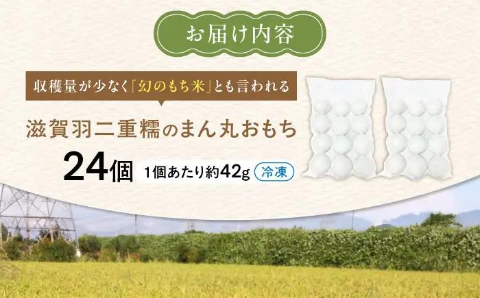 滋賀羽二重糯のまん丸おもち 24個[AQEC002]もち
