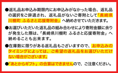 【あとから選べる】川棚町ふるさとギフト 10万円分　長崎県 川棚町[OZZ018]