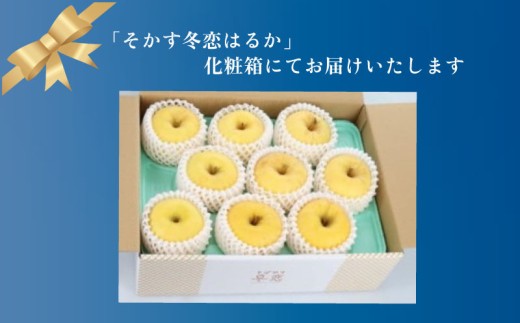 【先行予約】 訳ありりんご はるか 蜜入り保証 糖度15度以上 家庭用 そばかす冬恋はるか 約2.5kg 12月上旬発送開始 光センサー選果 蜜入り 甘い りんご 黄色 たっぷり蜜 お歳暮 ギフト は