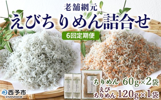 ＜老舗網元 えびちりめん詰め合わせ(合計 約240g) 6回定期便＞選べる 定期便 ちりめんじゃこ かたくちいわし カタクチイワシ えびちりめん 小魚 カルシウム 乾物 マルヨシ水産 特産品 愛媛県 西予市 【冷蔵】『お申込み月の翌月より配送を開始します』