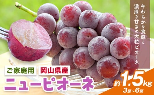 【2026年先行予約】岡山県産 ご家庭用 ニューピオーネ詰合せ 計1.5kg 株式会社はちや《2026年8月下旬-9月下旬頃出荷》岡山県 浅口市 ぶどう 葡萄 フルーツ ギフト 果物 デザート 国産 送料無料【配送不可地域あり】